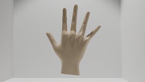 3D 3D Model of a Hand