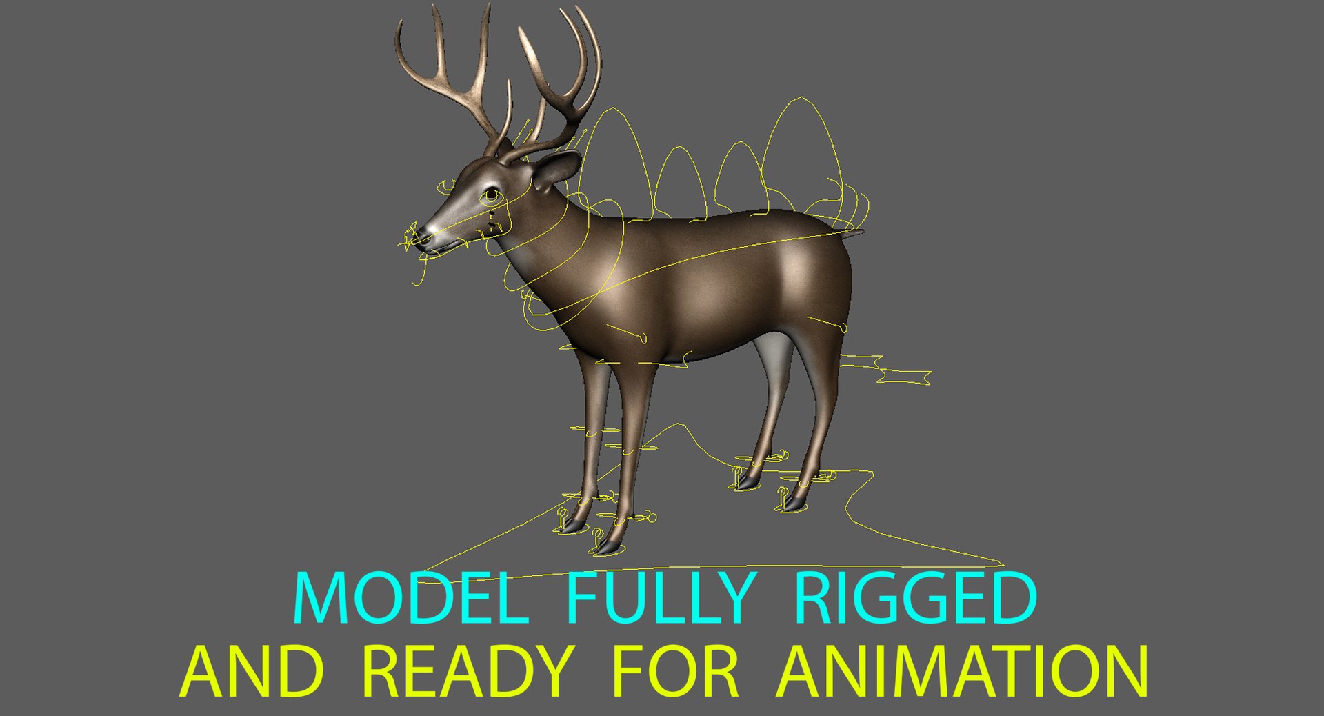 3d white-tailed deer tail https://p.turbosquid.com/ts-thumb/Sw/1FYVGD/Bz5euLFT/rigged_wide_2016/jpg/1475495080/1920x1080/fit_q87/c14013ca071508ac92acca64499281fc4710ae15/rigged_wide_2016.jpg