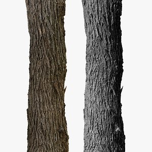 3d dead tree model