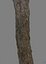 Tree Trunk 3 x 16k Textures Game-Ready 3D Model