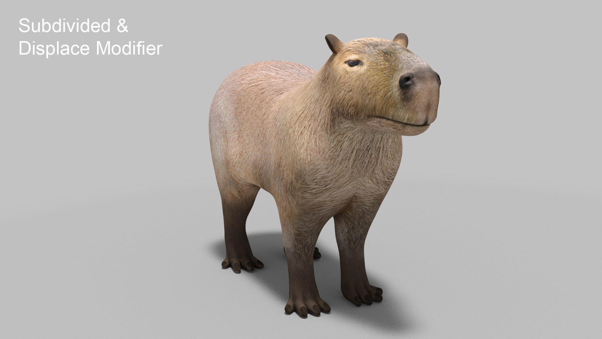 The Capybara P