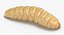 maggots poses 3D