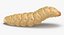 maggots poses 3D