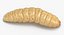 maggots poses 3D