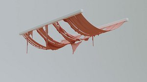Ragged canopy 3D model