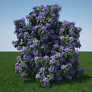 3d plant flowers model