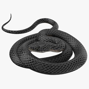 3d black snake 02 model