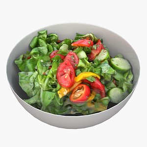 3D model scan bowl salad