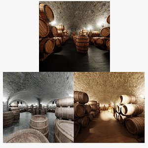 3D model Wine Cellars