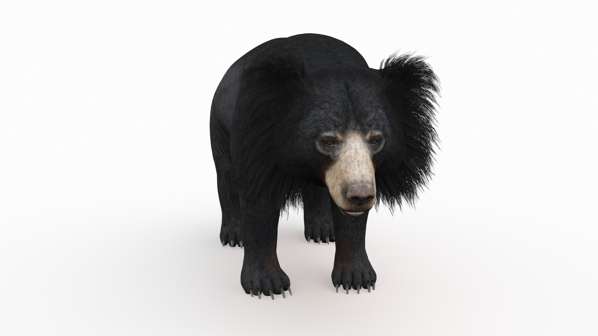 Bear animal 3D model TurboSquid 1637788