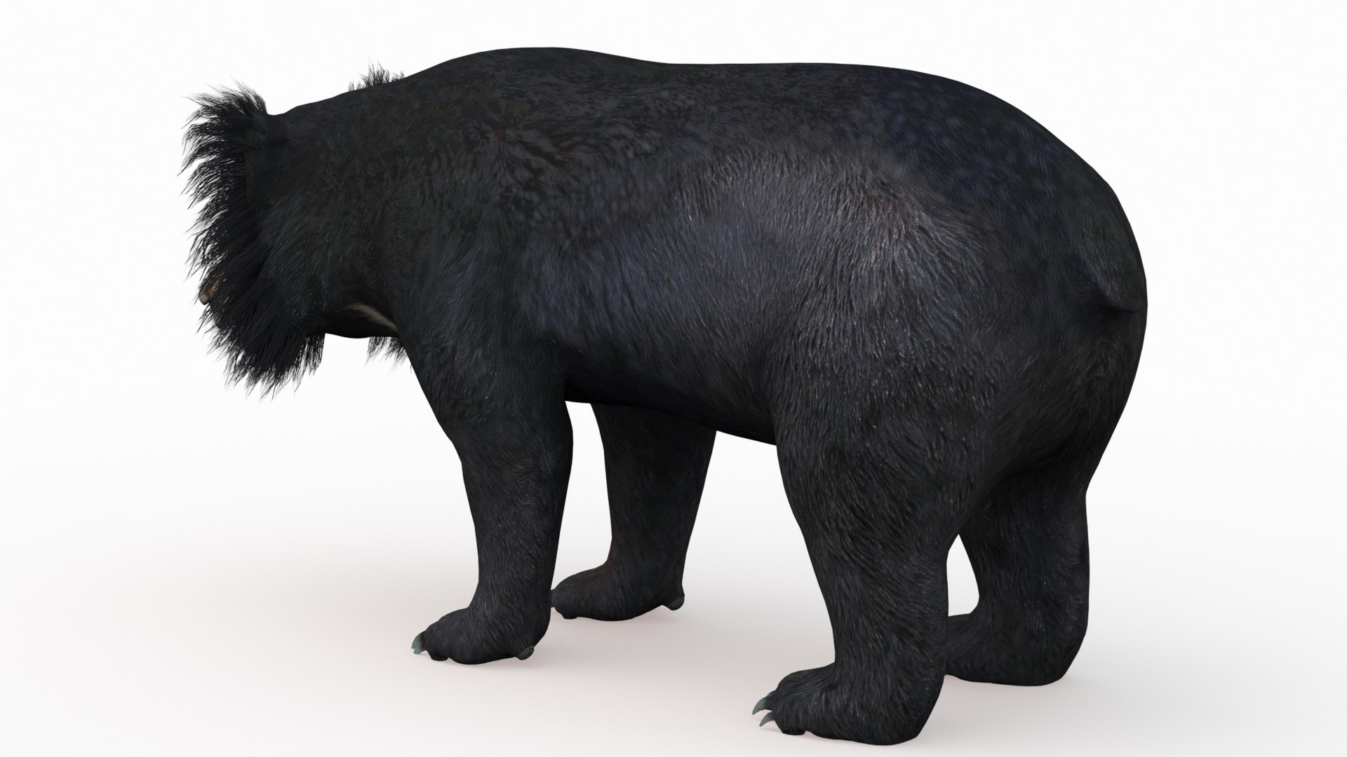 Bear animal 3D model TurboSquid 1637788