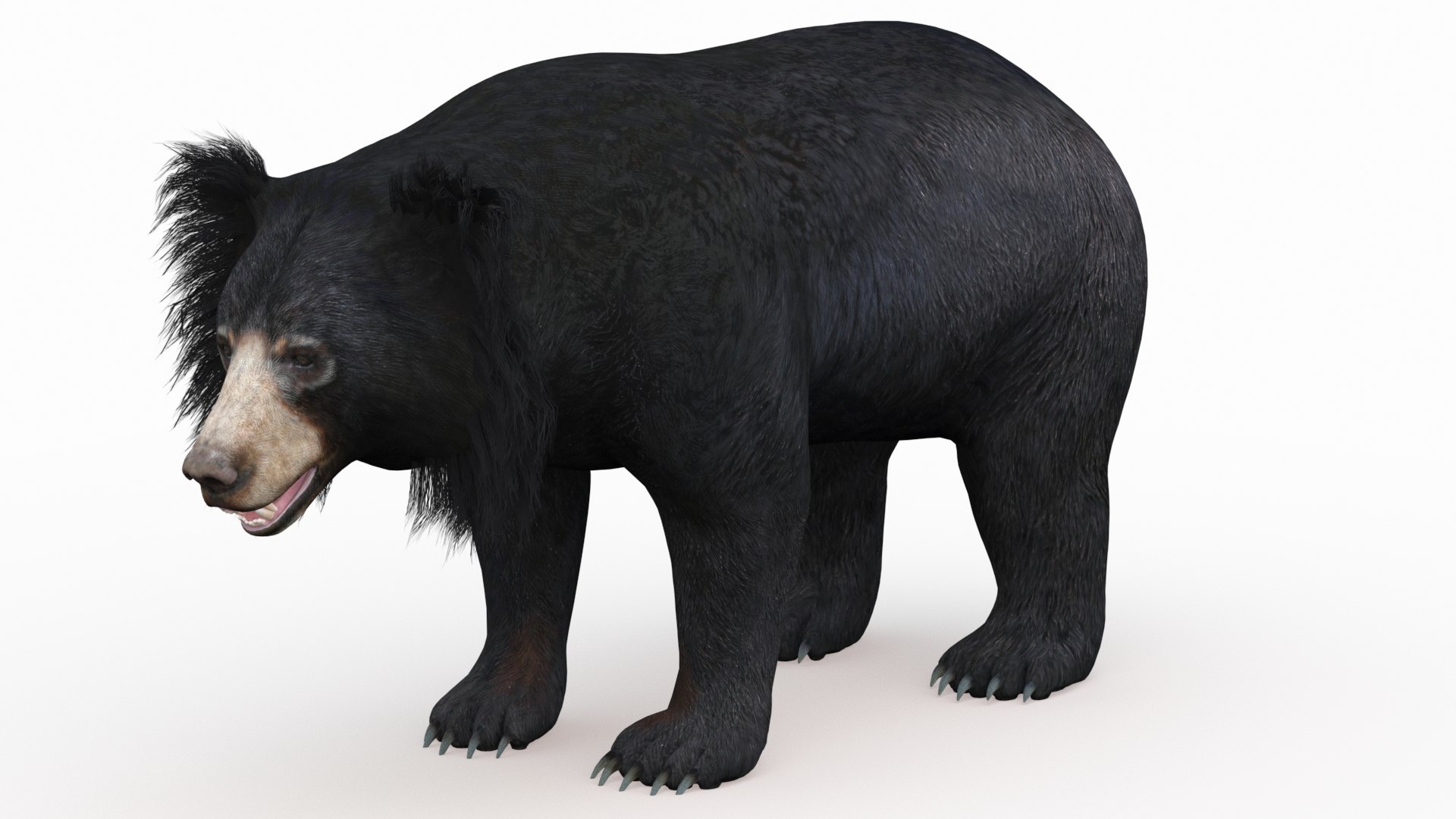 Bear animal 3D model TurboSquid 1637788