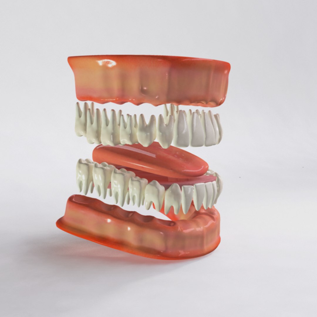 human jaw tongue teeth 3d obj https://p.turbosquid.com/ts-thumb/Sw/nFPLFR/YKKDAhKe/seperate/png/1395090094/1920x1080/fit_q87/1ceec38a093cd9edef1fb1f1fbcfc4c61e2d59fe/seperate.jpg