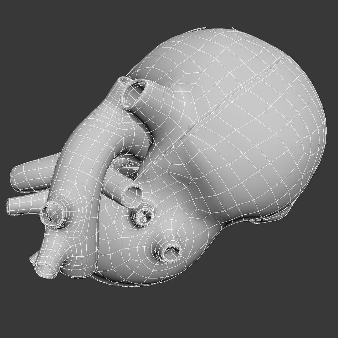 c4d dugm01 human heart https://p.turbosquid.com/ts-thumb/Sw/xSHUUy/91zhJZwu/heart_010012/jpg/1362517790/1920x1080/fit_q87/eb6fa4d2fc177ebe9a6dcc78c1669854a431209c/heart_010012.jpg