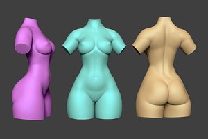 female torso 3D model