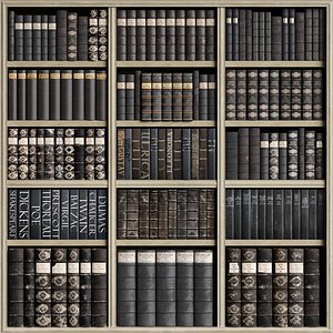 Classic Books 41