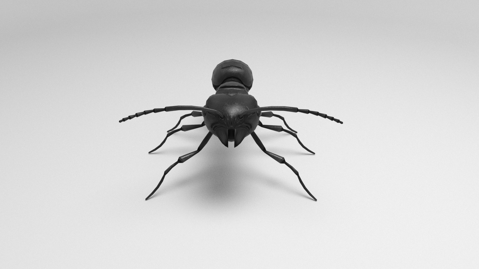 3D Black Ant model https://p.turbosquid.com/ts-thumb/Sx/Awe7Bp/7S/beauty0005/jpg/1669040662/1920x1080/fit_q87/e56a3828361b8ec0a9eaec49707c70b1ad0c0b3c/beauty0005.jpg