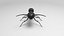Black Ant
