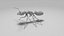 Black Ant