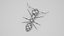 Black Ant