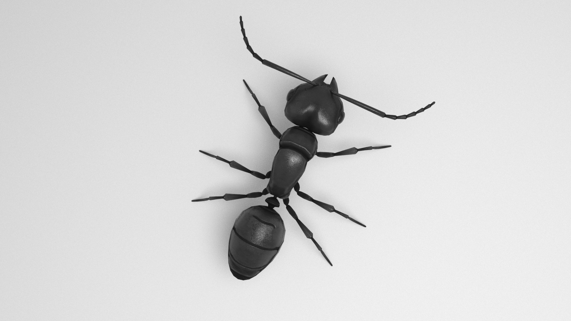 3D Black Ant model https://p.turbosquid.com/ts-thumb/Sx/Awe7Bp/wH/beauty0004/jpg/1669040662/1920x1080/fit_q87/8068f617fcae7e9e0068a6d5379a1402ad028540/beauty0004.jpg