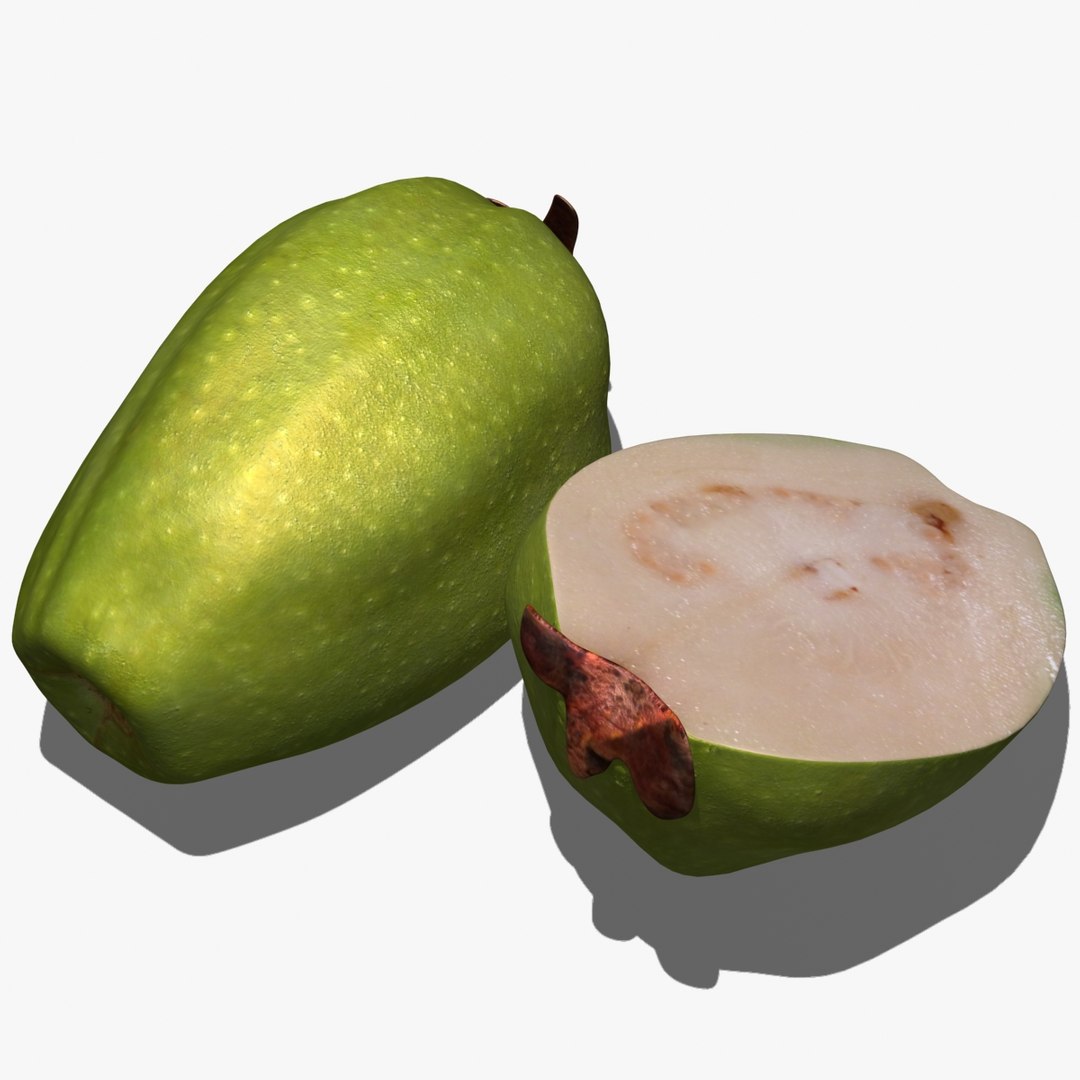 Guava Scanline 3d Max