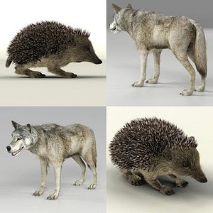 3d model s hedgehog wolf
