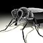 Housefly R2