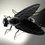 Housefly R2