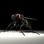Housefly R2