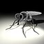 Housefly R2