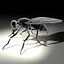 Housefly R2