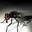 Housefly R2