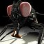 Housefly R2