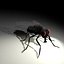 Housefly R2