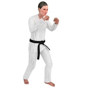 rigged karate 3D