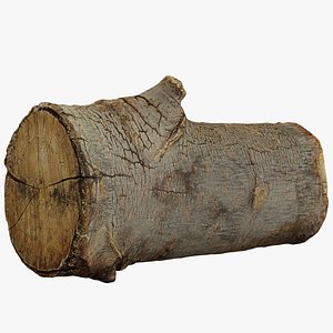wood log 3d 3ds