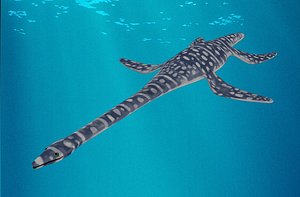 Plesiosaurus