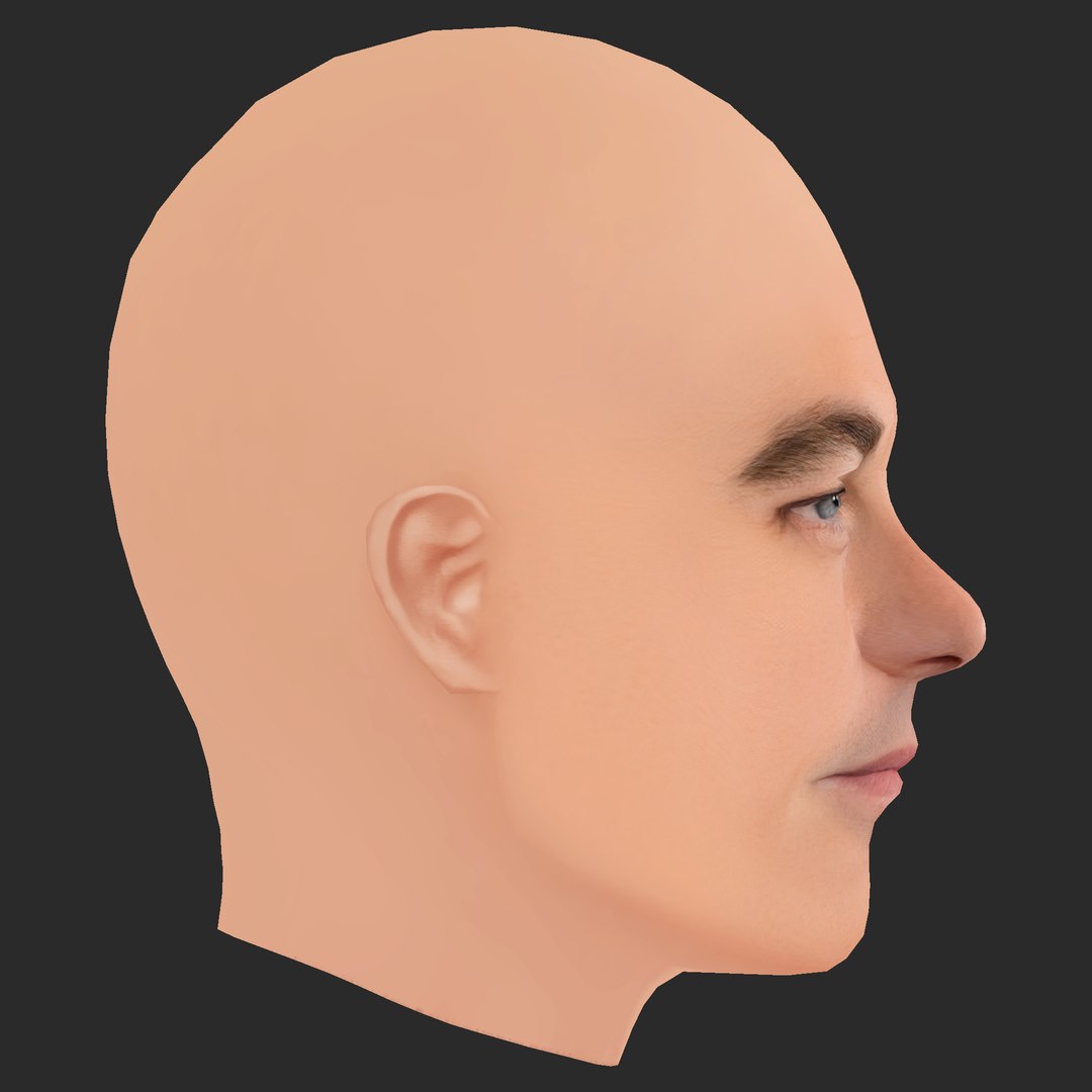 Low Poly Leonardo DiCaprio Head 3D model https://p.turbosquid.com/ts-thumb/Sy/9rwuIT/hI/06/png/1785156371/1920x1080/fit_q87/7e703ce6e6e68d2dc8632a8a45794181b9dca131/06.jpg