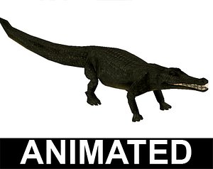 Aligator