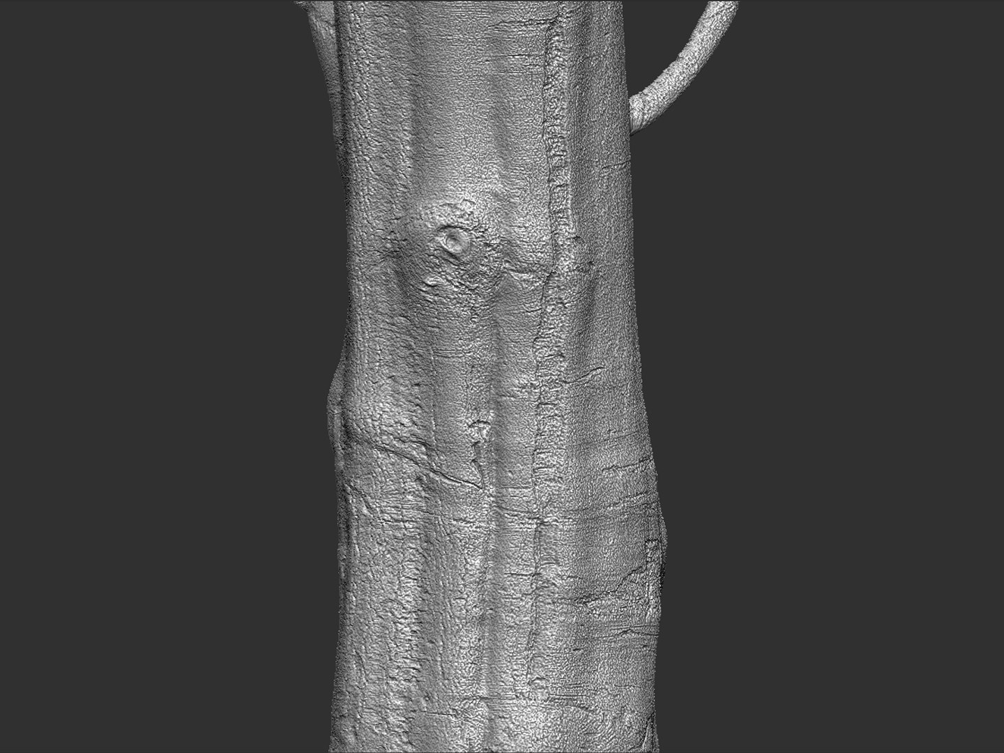 Scanned Ultra Hd 3d Model