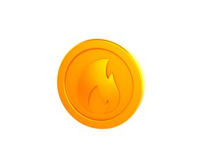 3D Print006 Coin Fire model