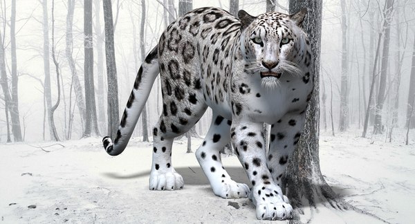 ユキヒョウ（アニメ）3Dモデル - TurboSquid 943379