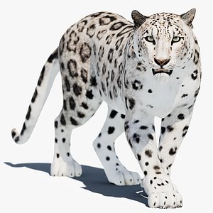 Animated Snow Leopard - Game-Ready