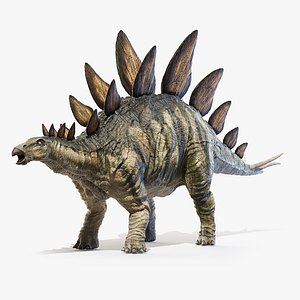 3D model stegosaurus stegos