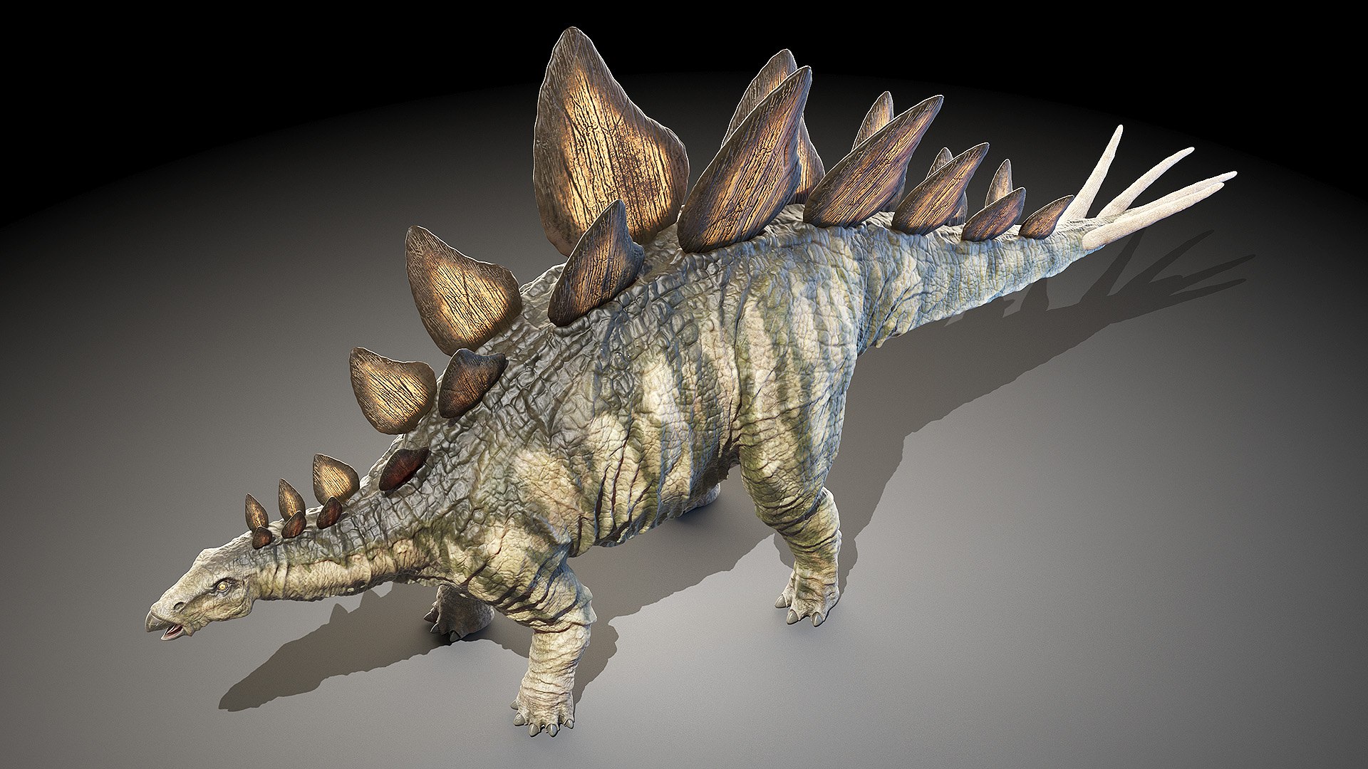 3D Model Stegosaurus Stegos - TurboSquid 1575511