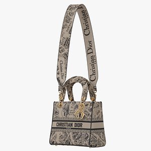 3D Dior Medium Lady D-Lite Bag