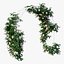 Rose plant set 45