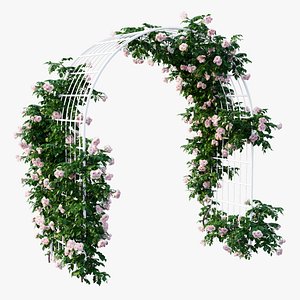 Rose plant set 45