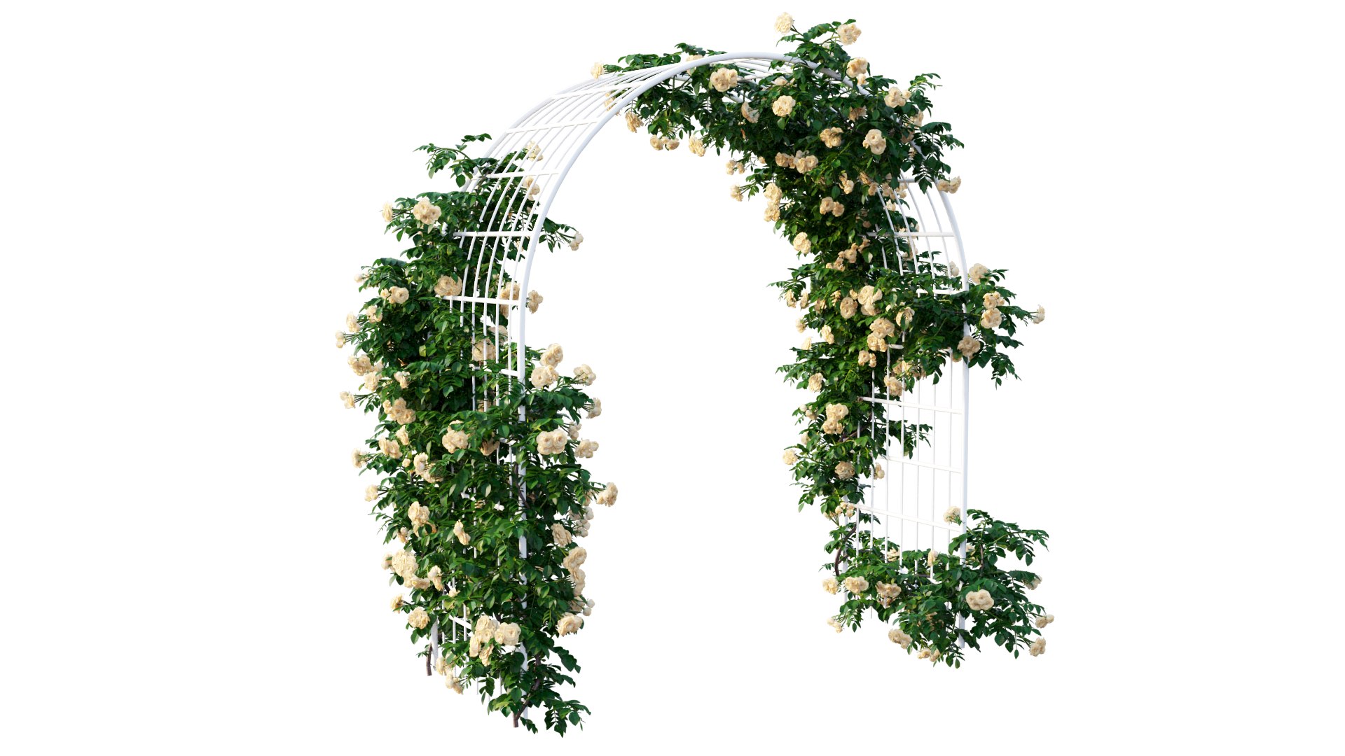 plant set 45 model https://p.turbosquid.com/ts-thumb/Sy/nUuO2w/Z2/6_interactivelightmix/png/1607527416/1920x1080/fit_q87/f7022c011264ad13bf101e9afcbef9c895ebcd69/6_interactivelightmix.jpg